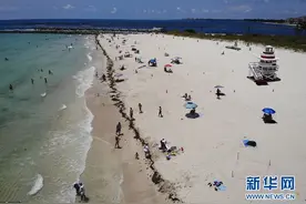 美国迈阿密海滩开放 吸引游客享受日光浴图片
