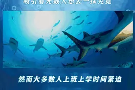海底狂欢！佛山“新晋海洋馆”登场！免费门票来就送图片