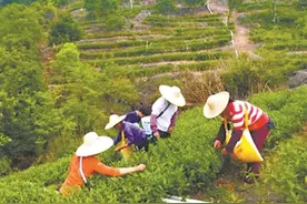 入股当年贫困户即获分红图片