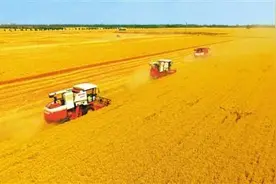 网友点赞夏收保粮食能源安全：科技引导生产力发展图片