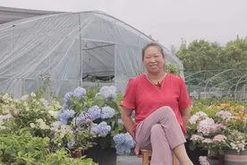54岁还直播带货 松阳黄姐卖花有妙招……图片