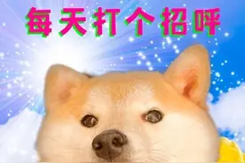 早报超有料丨张杰献唱《征途》片尾曲 王千源王景春强强联手悬疑片图片