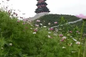 绿色矿山建设中生态修复技术集成图片