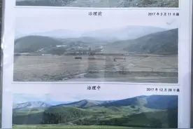 “车在画中走，人在景中游”丨肃南造林绿化让祁连山披“绿装”图片