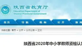 陕西省2020年中小学教师资格认定公告图片