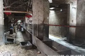 岐山一农户13头奶牛接连抽搐口吐白沫死亡 农户已向派出所报案图片