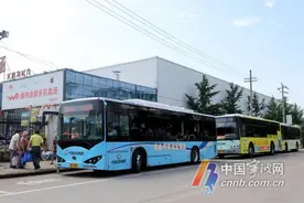 宁波吃货 3条杨梅采摘专线来了 周末走起图片