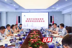 张世平一行到湖南财信金控调研图片