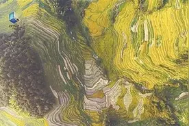 我想让观众看见一个“万万没想到”的湖南——《航拍中国》第三季湖南篇导演手记图片