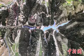 “天下黄土第一塬”甘肃董志塬的“危”与“机”图片