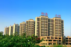 海南椰岛实控人或变更？“中国体育传播第一股”欲借壳登陆A股图片
