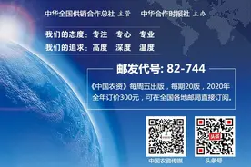 鲁西化工完成股权变更图片