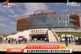 2020全省旅发大会：参会嘉宾观摩南康家居小镇方特东方欲晓乐园视频封面