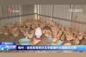 梅州：省税务局帮扶五华里塘村全部脱贫出列视频封面