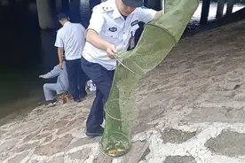 为给自家养的乌龟找食吃 男子冒险到河边捕鱼图片