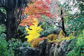 拖垮你的，有时只是一箱“烂梨”图片