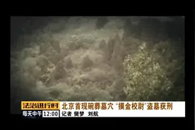 真实版“盗墓笔记”上演，5名“摸金校尉”获刑图片