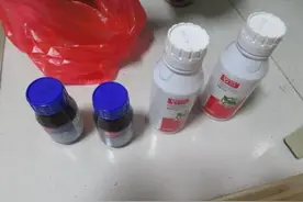 人生只有一次，请好好活着图片