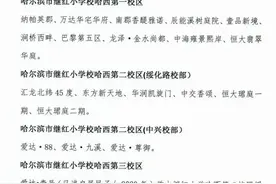 哈尔滨市南岗区2020年小学学区划分和小升初对口学校情况公布图片