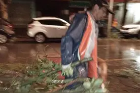 扶树清枝！武汉绿化人逆行暴雨中，奔忙了一夜图片