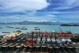 宁波：伏休时节修船忙图片