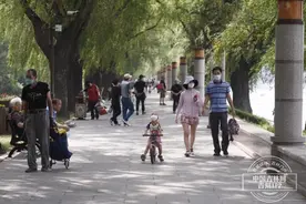 长春南湖公园“拆墙”后首个周末啥情况？中国吉林网带你去看看图片