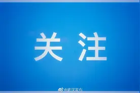 湖北省博物馆恢复开放公告图片