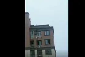 小女孩独自在家爬上了没防护的窗户，关键时刻幸亏有他……图片