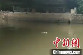 与死神赛跑的2分钟 4名环卫工勇救跳河轻生女孩图片