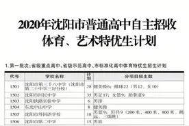 沈阳市公布2020年普通高中自主招收体育、艺术特优生计划和政策解读图片