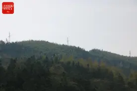 巡察微故事｜村民领到了迟到四年的占地补偿款图片