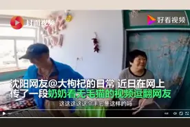 太有爱！东北奶奶给无毛猫织毛衣，网友：有一种冷叫奶奶觉得你冷图片