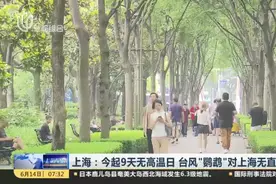 上海：今起9天无高温日  台风“鹦鹉”对上海无直接影响