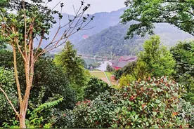 谷山：五谷不是浮世物，鹅羊灵犀来游山图片