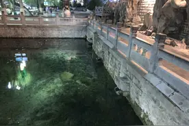 “瞌睡”一夜后，俩虎头微微“醒来”图片