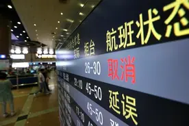 航延险理赔困境：门槛增高难住消费者，“合理推断”也在免赔范围图片