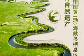 擦亮世遗金字招牌！环黄海生态经济圈专家研讨会在盐城举行图片