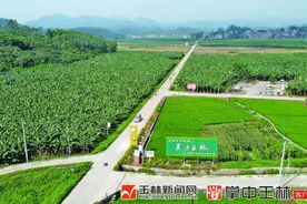 “贫困村”摇身变“示范村”——兴业县大平山镇南村的美丽蜕变图片