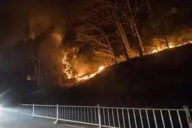 威头条丨烟头还是电线？五台山3·19森林火灾起火原因真相调查全程高能图片