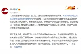 三文鱼还能不能吃了？其实，更重要的事不止一件……图片