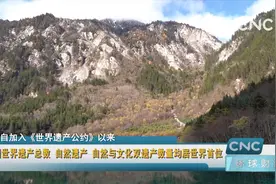 中国世界遗产总数、自然遗产、自然与文化双遗产数量均居世界首位视频封面