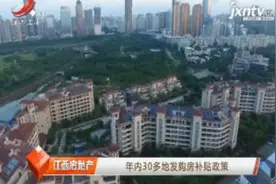 2020年内30多地发购房补贴政策视频封面