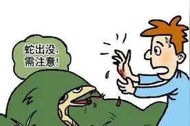 【药师说药】蛇出没？蛇毒血清来相助！图片
