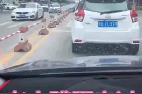 钦州一老人蹒跚过斑马线，发生温暖一幕图片