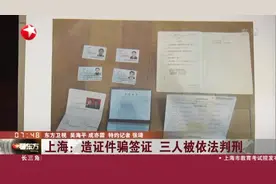 上海：造证件骗签证  三人被依法判刑视频封面
