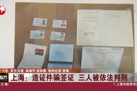 上海：造证件骗签证  三人被依法判刑视频封面