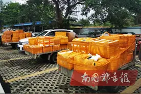 190箱海鲜产品违规入岛，海口警方现场控制22人图片