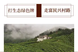 打生态绿色牌 走富民兴村路图片