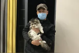 宠物侦探：帮助千余家庭找回宠物图片