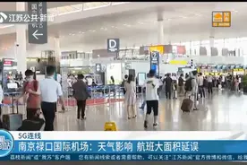 南京禄口国际机场：受天气影响航班大面积延误，机场旅客增多视频封面